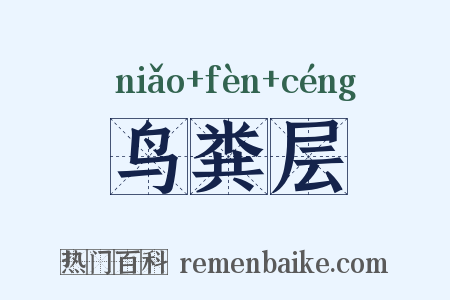 鸟粪层是什么意思的图片